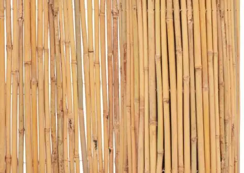 Gard din bambus, 500 x 30 cm - 2/5