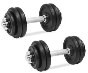vidaXL Set de gantere, 18 piese, 30 kg, fontă