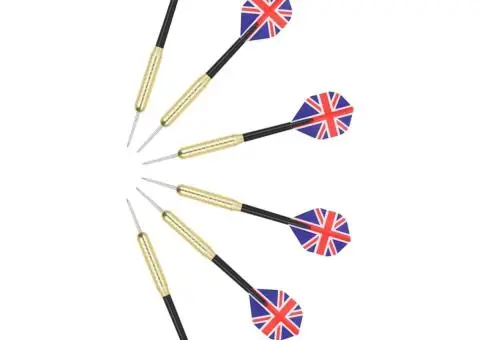 Placă de darts profesională cu 6 săgeți, sisal - 5/5