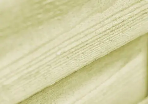 Poartă de grădină, verde, 100 x 100 cm, lemn de pin tratat - 5/5