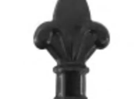 Poartă de gard cu uși duble, cu vârfuri de suliță, 300 x 150 cm - 3/5