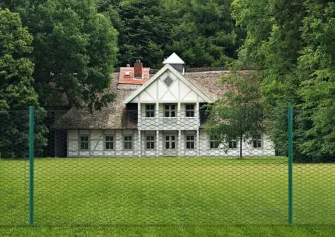 Gard din plasă de sârmă cu stâlpi, verde, 25 x 1 m, oțel - 2/4