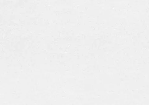 Saltea, 100 x 200 cm, 7 zone, spumă PU, 10 cm, H2 H3 - 5/5