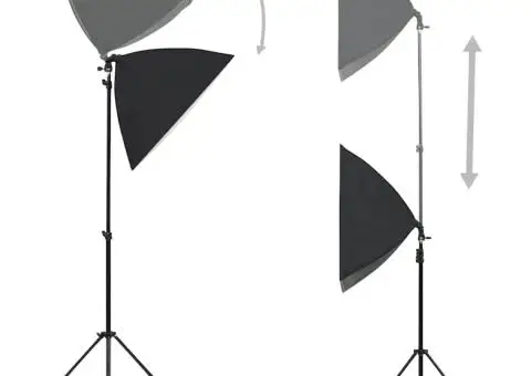 Lumini de studio profesionale, 2 buc., negru, 40 x 60 cm, oțel - 2/5
