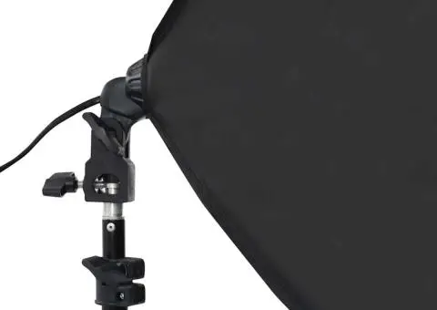 Lumini de studio profesionale, 2 buc., negru, 40 x 60 cm, oțel - 4/5