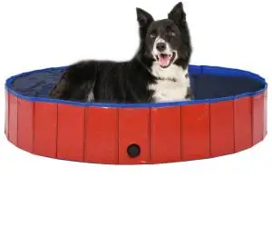 vidaXL Piscină pentru câini pliabilă, roșu, 160 x 30 cm, PVC