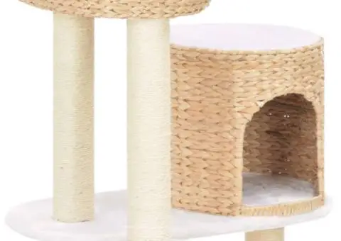 Ansamblu pentru pisici, stâlp cu funie de sisal, iarbă de mare - 4/5