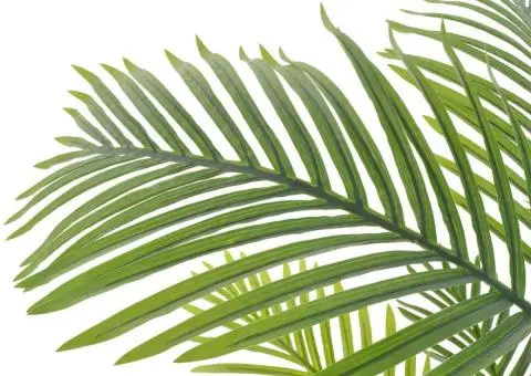 Plantă artificială palmier cu ghiveci, verde, 120 cm - 2/2