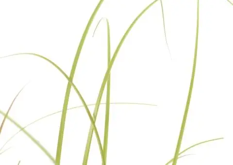 Plantă iarbă artificială în ghiveci, 95 cm - 2/2