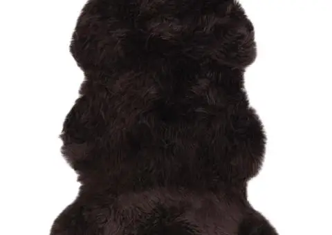 Covor din piele de oaie, maro, 60 x 90 cm - 1/4