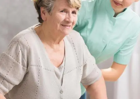 Ingrijitor batrani Olanda