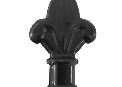 Poartă de gard cu două uși, cu vârfuri de suliță, 400 x 200 cm - 4/5