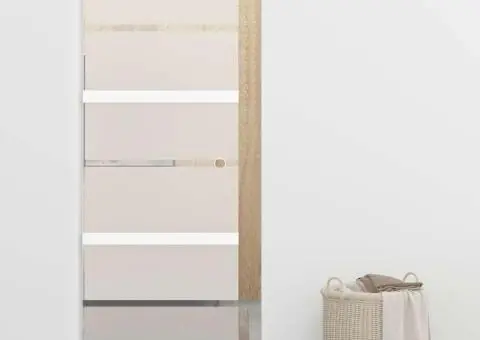 Ușă glisantă, argintiu, 76 x 212 cm, sticlă ESG și aluminiu - 1/5