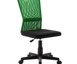 vidaXL Scaun de birou, negru și verde, 44x52x100 cm, plasă textilă