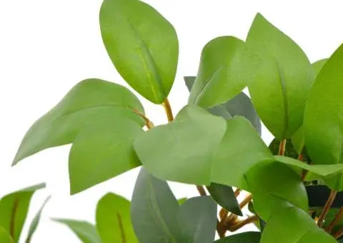 Plantă artificială dafin cu ghiveci, verde, 120 cm - 2/2