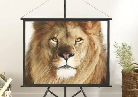 Ecran de proiecție cu trepied 50" 4:3 - 1/5