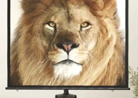 Ecran de proiecție 50" 4:3 - 1/5