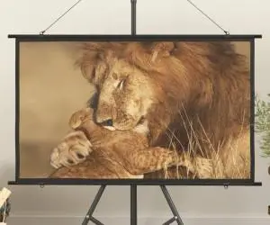 vidaXL Ecran de proiecție 50" 16:9