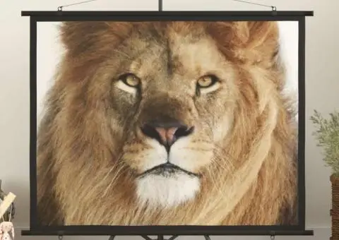 Ecran de proiecție 72" 4:3 - 1/5