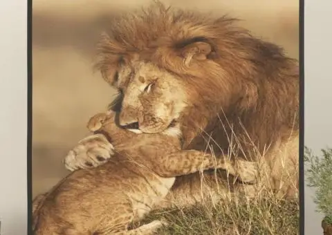 Ecran de proiecție 72" 1: 1 - 1/5