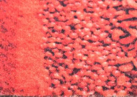 Covoraș de bucătărie, lavabil, model condimenete, 60 x 180 cm - 5/5