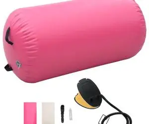 vidaXL Rulou de gimnastică gonflabil cu pompă, roz, 120 x 75 cm, PVC