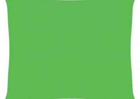 Pânză parasolar, verde deschis, 2,5x3 m, HDPE, 160 g/m² - 2/5