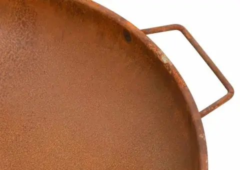 Vatră de foc, 67,5x58x22,5 cm, oțel - 5/5