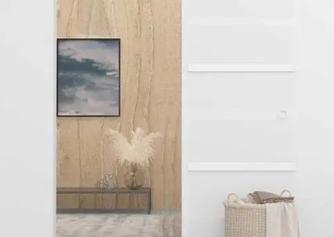 Ușă glisantă, argintiu, 76 x 212 cm, sticlă ESG și aluminiu - 3/5