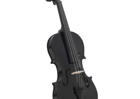 Set complet vioară cu arcuș și suport bărbie, negru 4/4 - 2/5