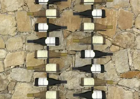 Suporturi sticle de vin de perete 20 sticle 2 buc. negru metal - 5/5