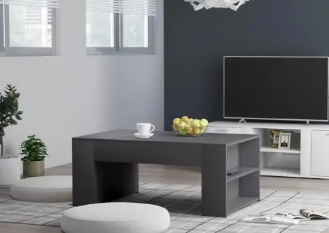 Măsuță de cafea, gri, 100 x 60 x 42 cm, lemn prelucrat - 1/5