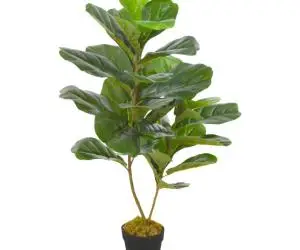vidaXL Plantă artificială ficus cu ghiveci, verde, 90 cm