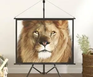 vidaXL Ecran de proiecție cu trepied 50" 4:3
