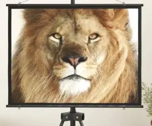 vidaXL Ecran de proiecție 50" 4:3