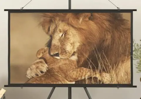 Ecran de proiecție 50" 16:9 - 1/5