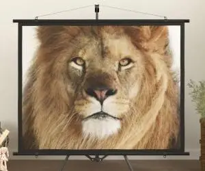 vidaXL Ecran de proiecție 72" 4:3