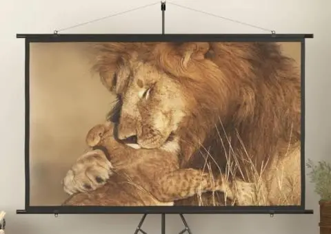 Ecran de proiecție cu trepied, 108", 16:9 - 1/5