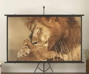 vidaXL Ecran de proiecție cu trepied, 108", 16:9
