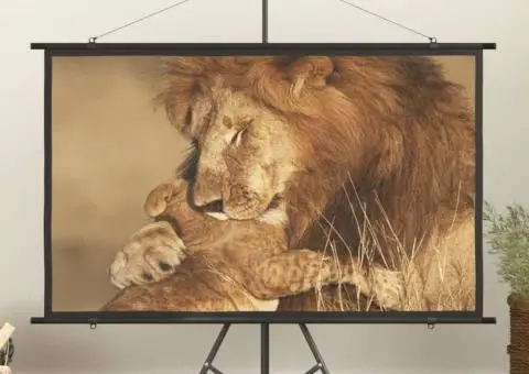 Ecran de proiecție 72" 16:9 - 1/5