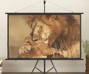 vidaXL Ecran de proiecție 72" 16:9