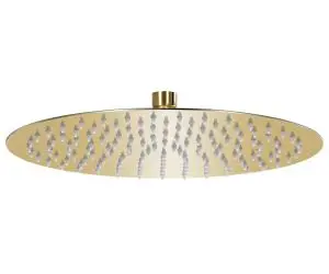 vidaXL Cap de duș tip ploaie rotund, auriu, 30 cm, oțel inoxidabil