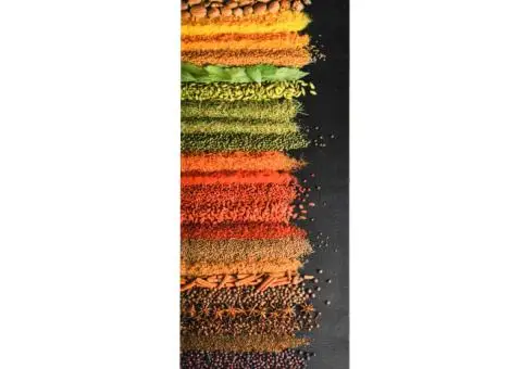 Covoraș de bucătărie, lavabil, model condimenete, 60 x 180 cm - 1/5