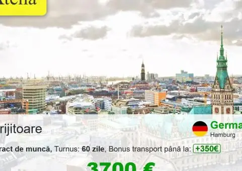 ingrijitor batrani Hamburg