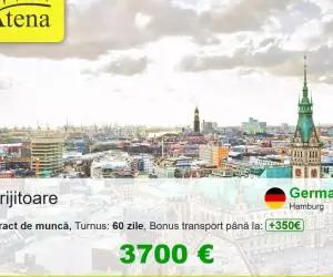 ingrijitor batrani Hamburg
