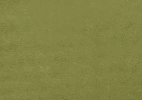 Taburet, verde deschis, 60x60x36 cm, catifea - 5/5