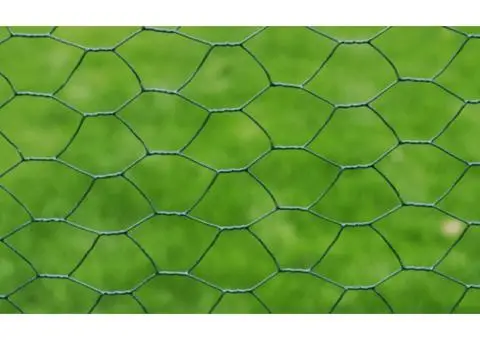 Plasă de sârmă găini, verde, 25 x 0,5 m, cu înveliș PVC - 3/4