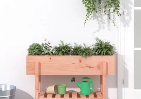 Strat înălțat de grădină, 101x30x69 cm, lemn masiv Douglas - 1/5