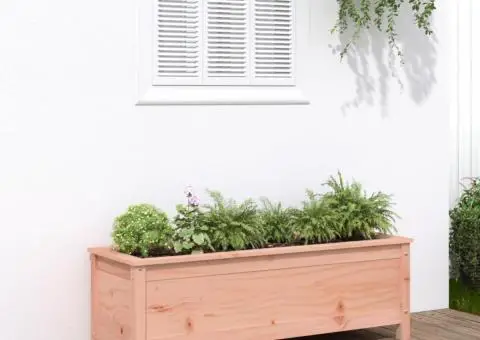 Strat înălțat de grădină, 119,5x40x39 cm, lemn masiv Douglas - 1/5