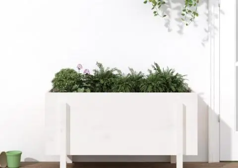 Strat înălțat de grădină, alb, 101x50x57 cm, lemn masiv de pin - 1/5